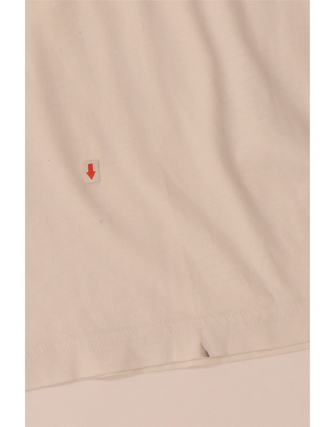 GANT T-shirt grafica da uomo grande in cotone bianco