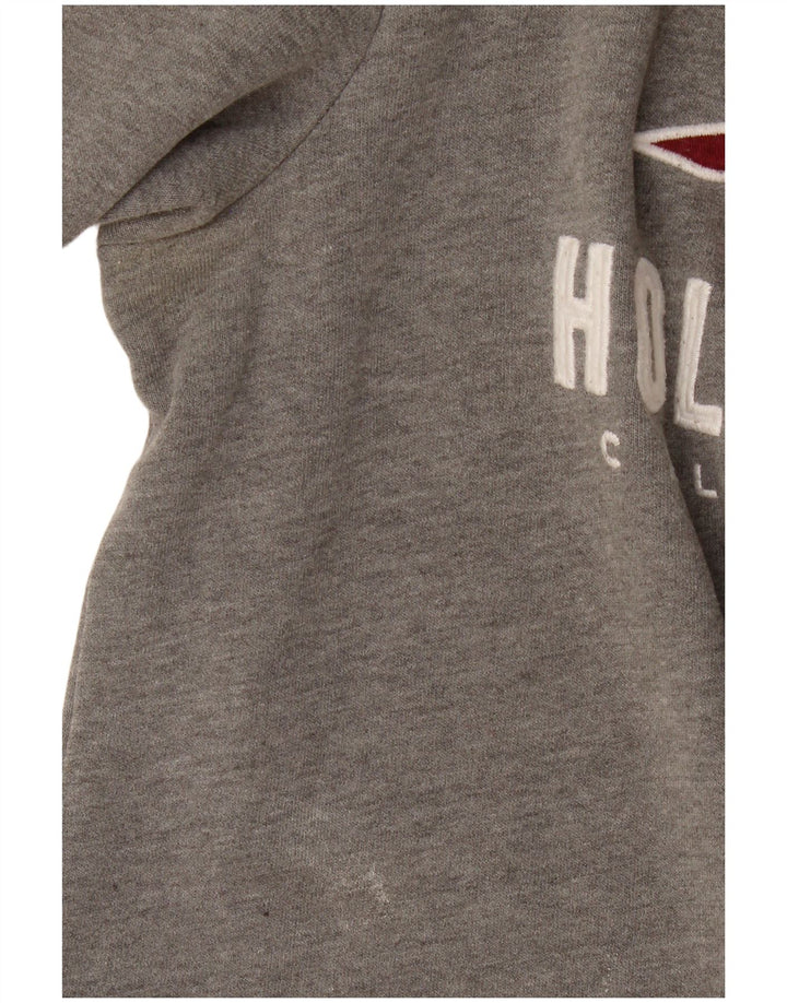 Felpa con grafica Hollister da uomo, piccola, in cotone grigio