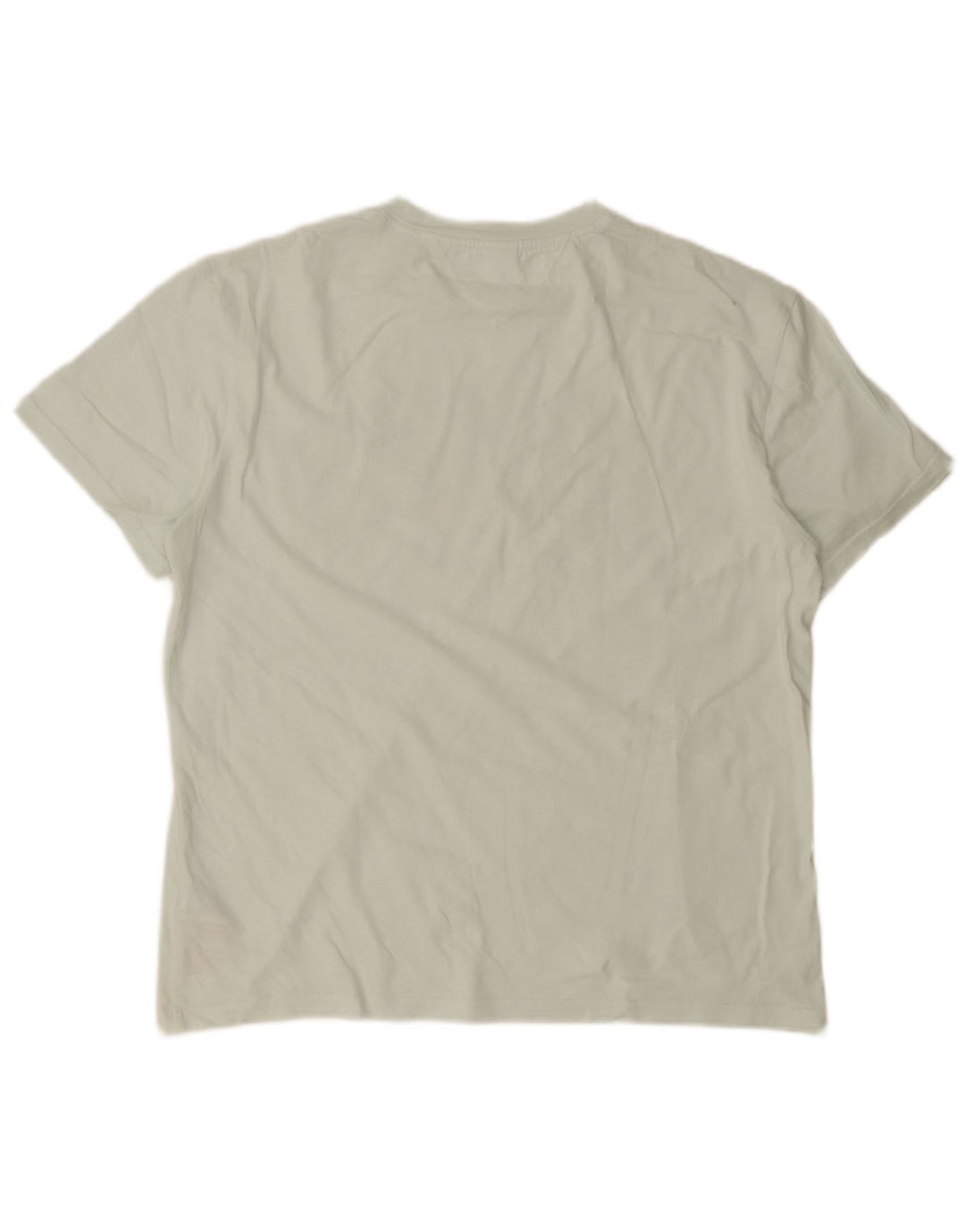 T-shirt grafica da uomo Tommy Hilfiger Top grande in cotone blu