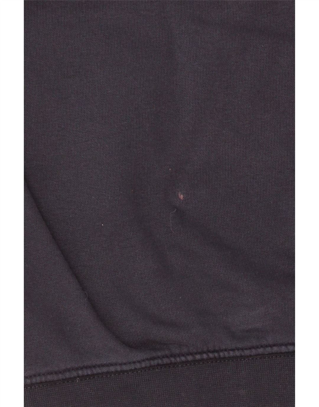 Felpa con cappuccio grafica da uomo Champion, cotone medio blu navy