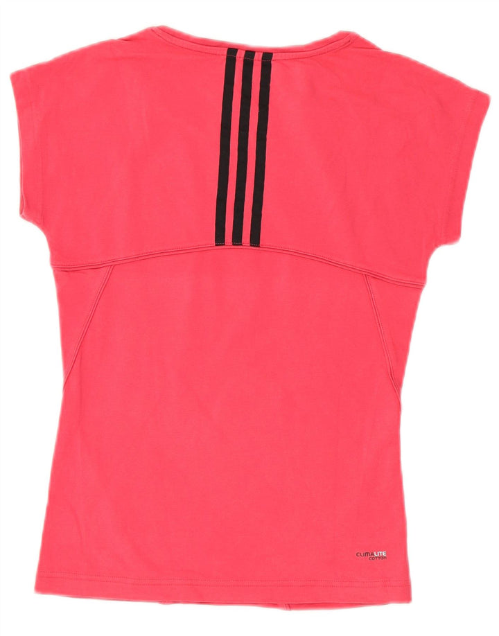 ADIDAS Womens Climalite T-Shirt Top UK 8 Small Pink