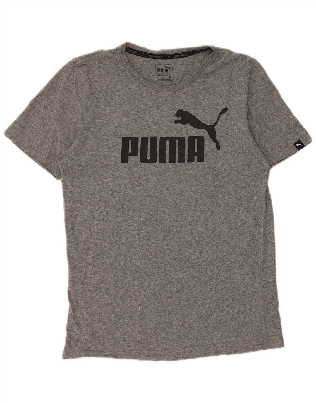 T-shirt grafica da uomo Puma Top XS in cotone grigio