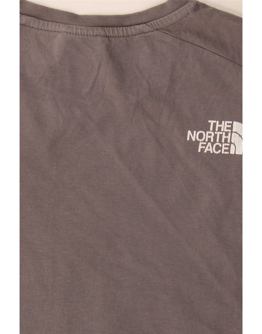 T-shirt grafica regolare da uomo The North Face Top Small Grey Colourblock