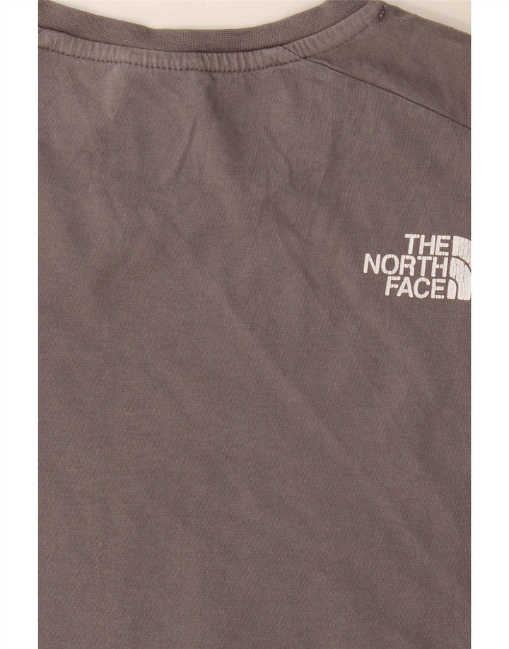 T-shirt grafica regolare da uomo The North Face Top Small Grey Colourblock