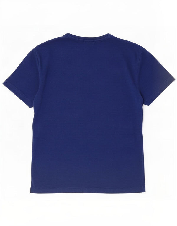 T-shirt da uomo Calvin Klein Jeans Top piccola in cotone a righe blu