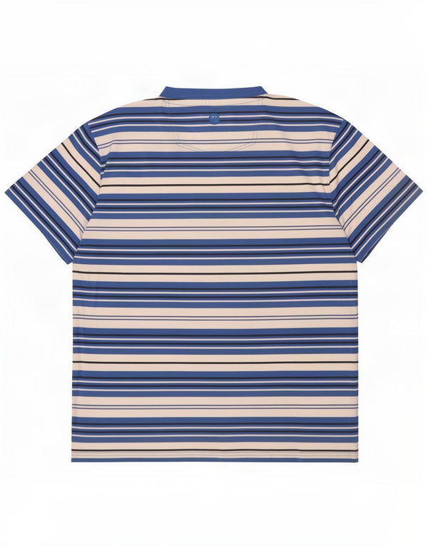 T-shirt da uomo Fat Face Top in cotone a righe blu grandi