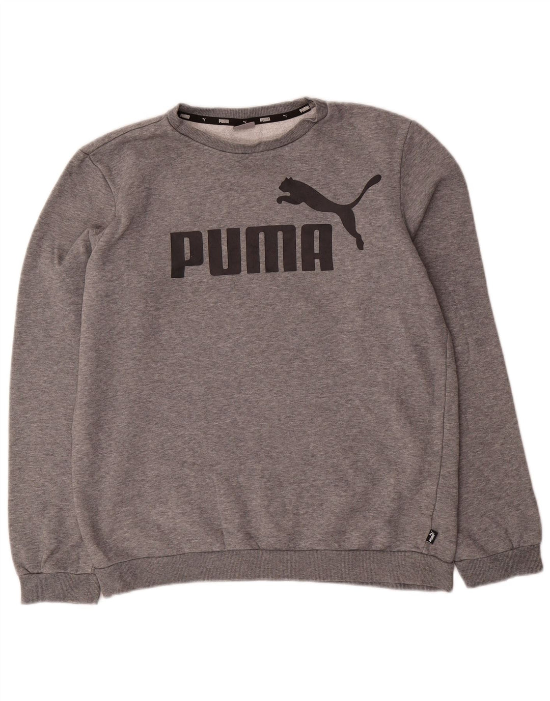 Felpa con grafica PUMA da ragazzo 15-16 anni in cotone grigio