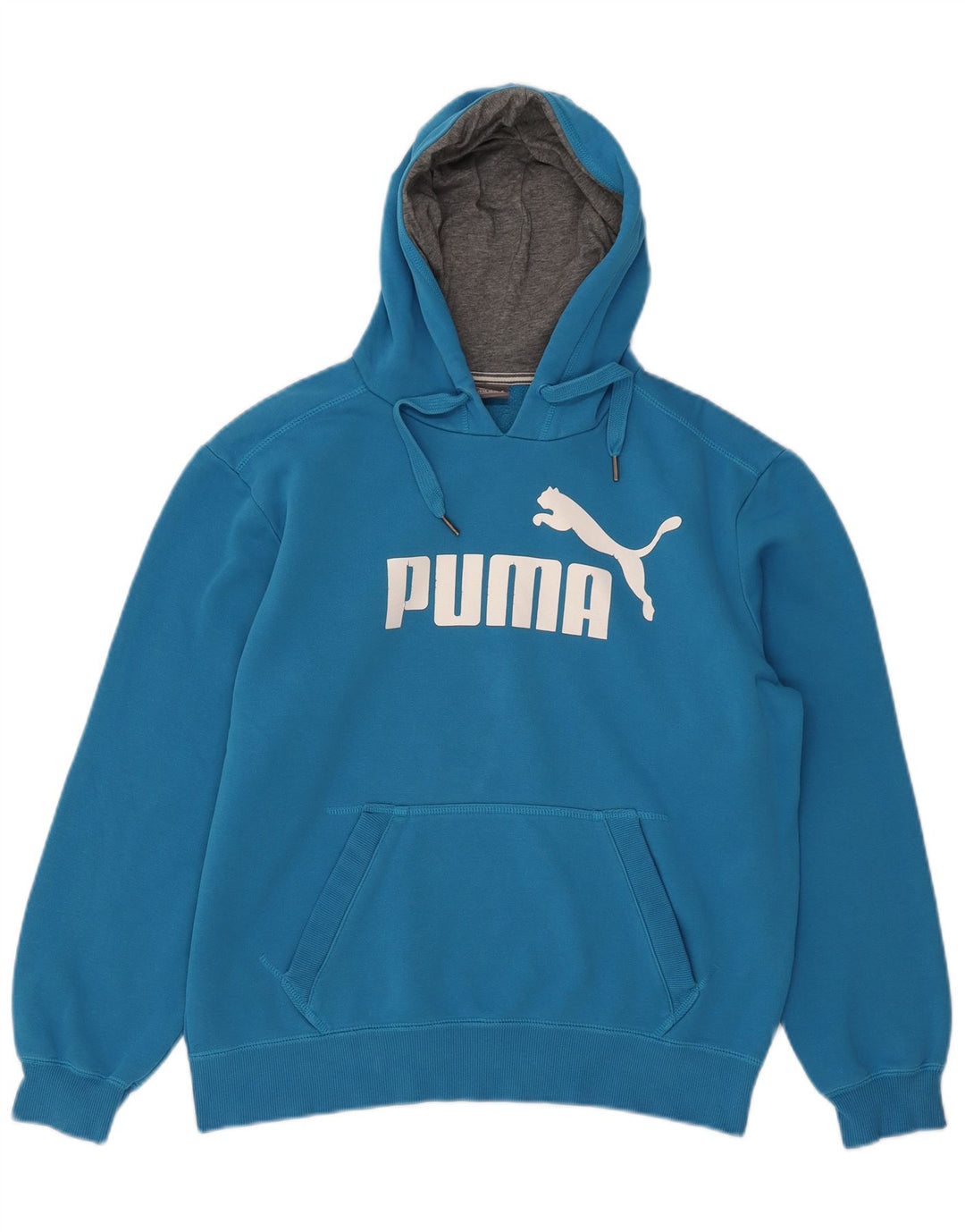 PUMA Mens Graphic Hoodie Jumper Medium Blue Cotton