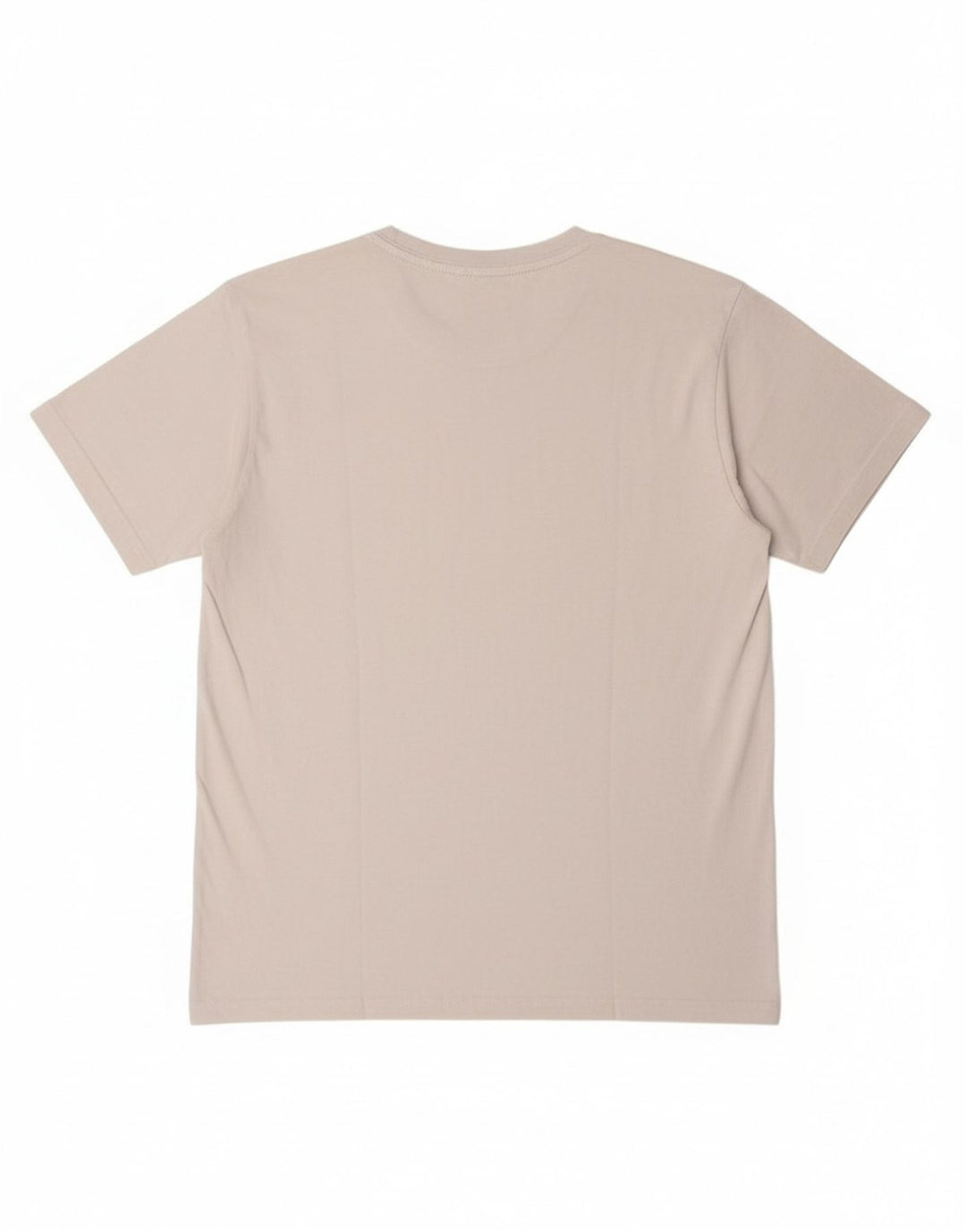 CHAMPION Boys T-Shirt Top 15-16 Years 2XL White
