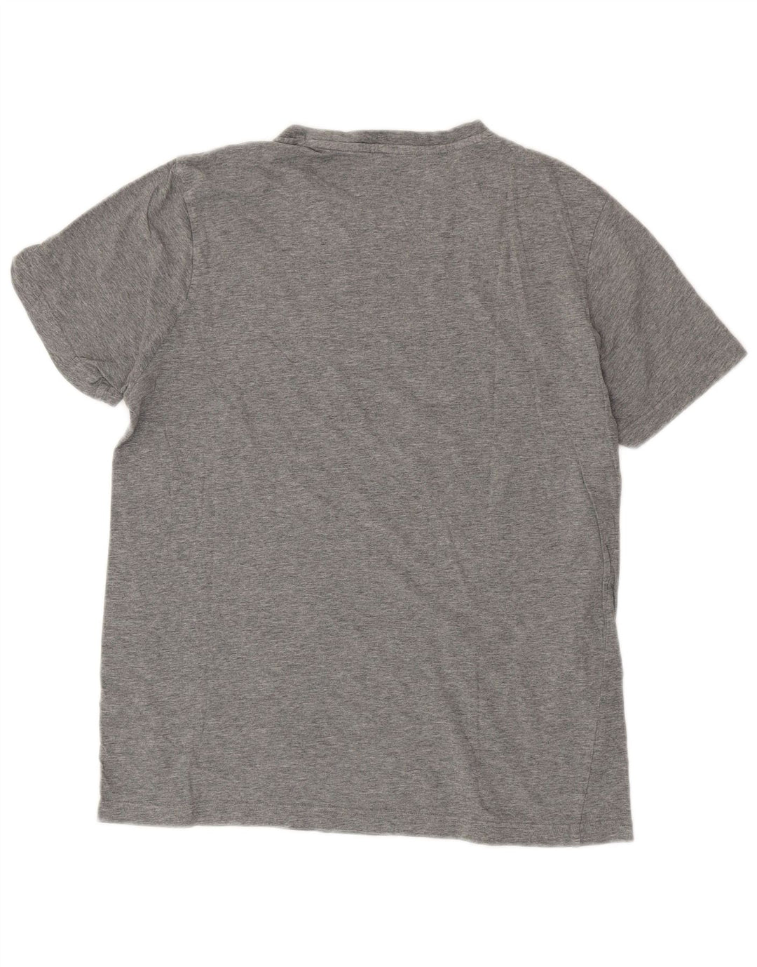 T-shirt grafica PUMA da uomo grande grigia