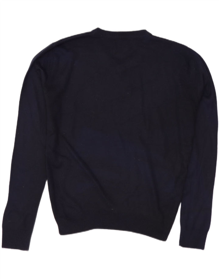 PIERRE CARDIN Maglione da uomo con scollo a V piccolo blu navy