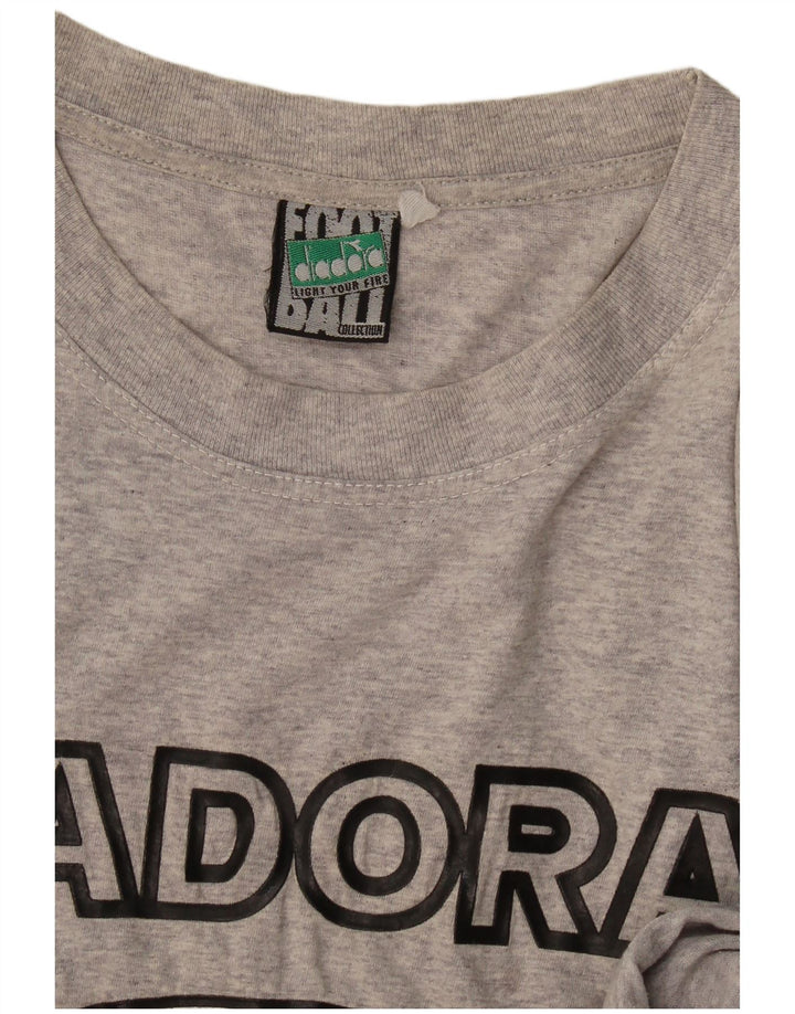 T-shirt grafica da uomo Diadora Top Large Grigia