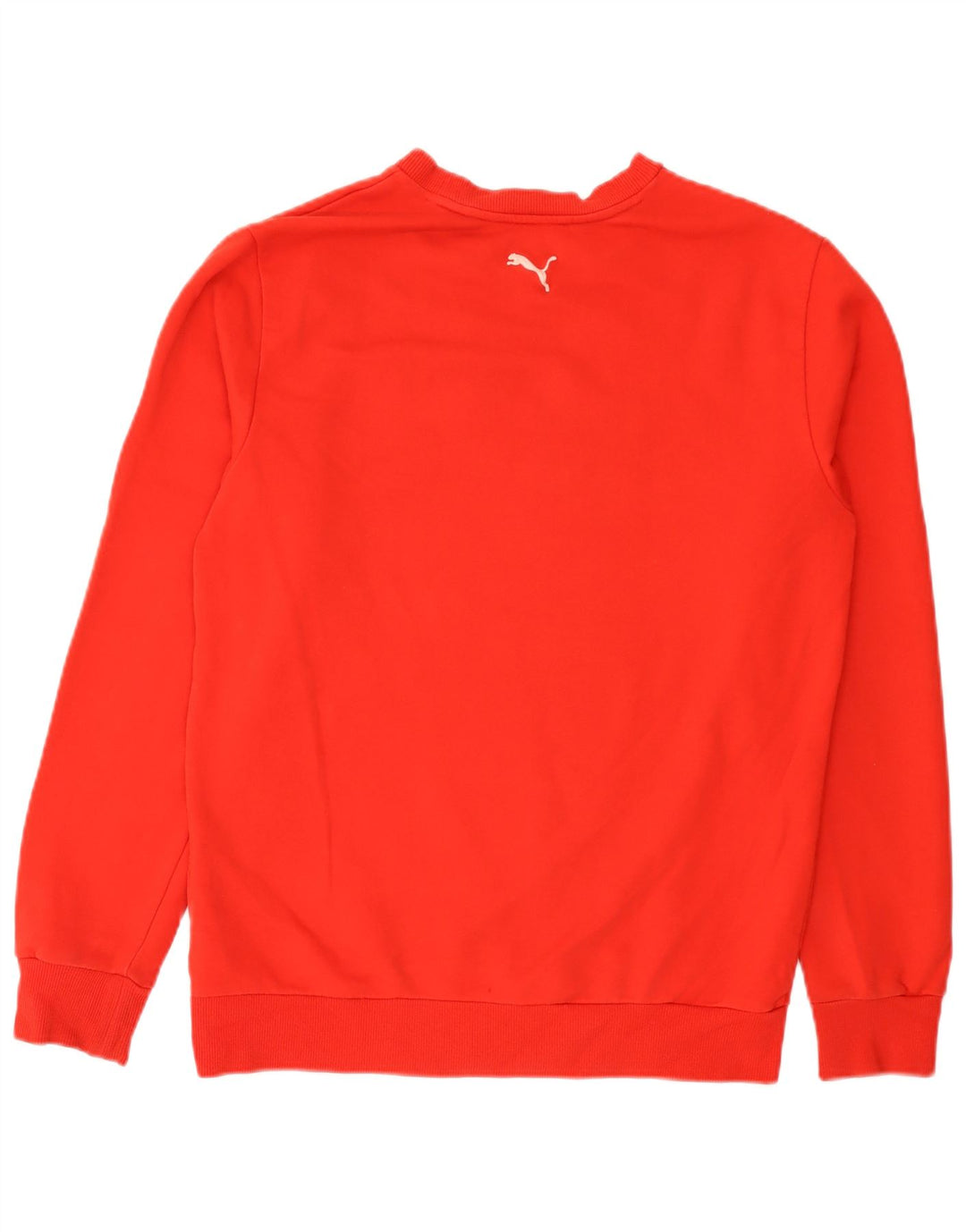 Felpa grafica da uomo Puma Maglione rosso medio in cotone