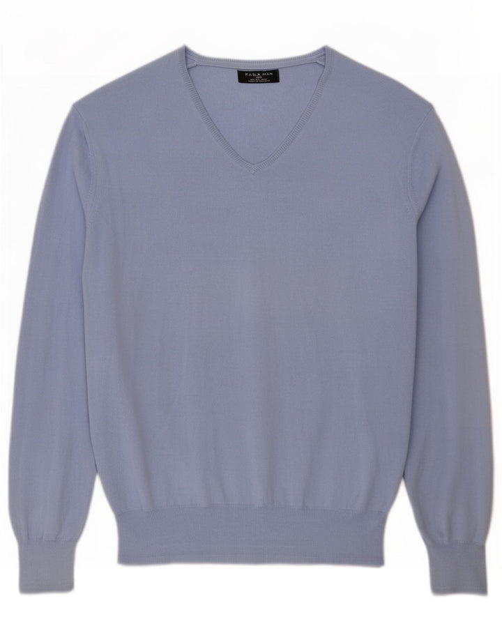 Maglione Zara da uomo con scollo a V grande blu