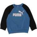 PUMA Boys Graphic Sweatshirt Jumper 3-4 Years Blue Colourblock Cotton Vintage Puma and Second-Hand Puma from Messina Hembry 