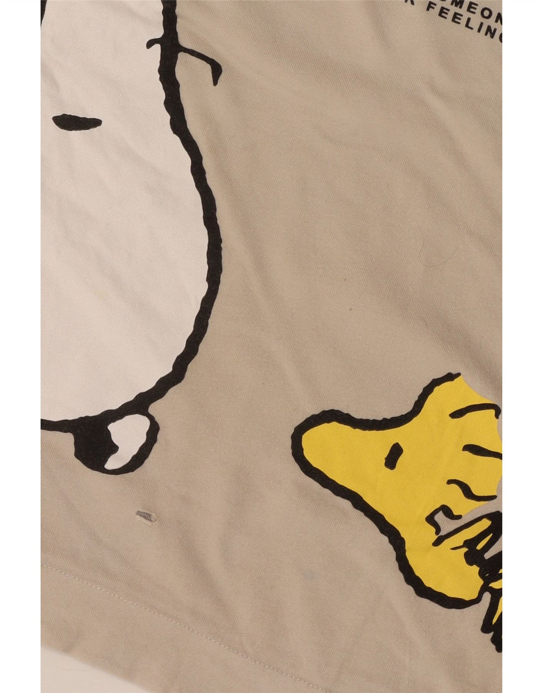T-shirt grafica per ragazzi Zara 9-10 anni, bianco sporco
