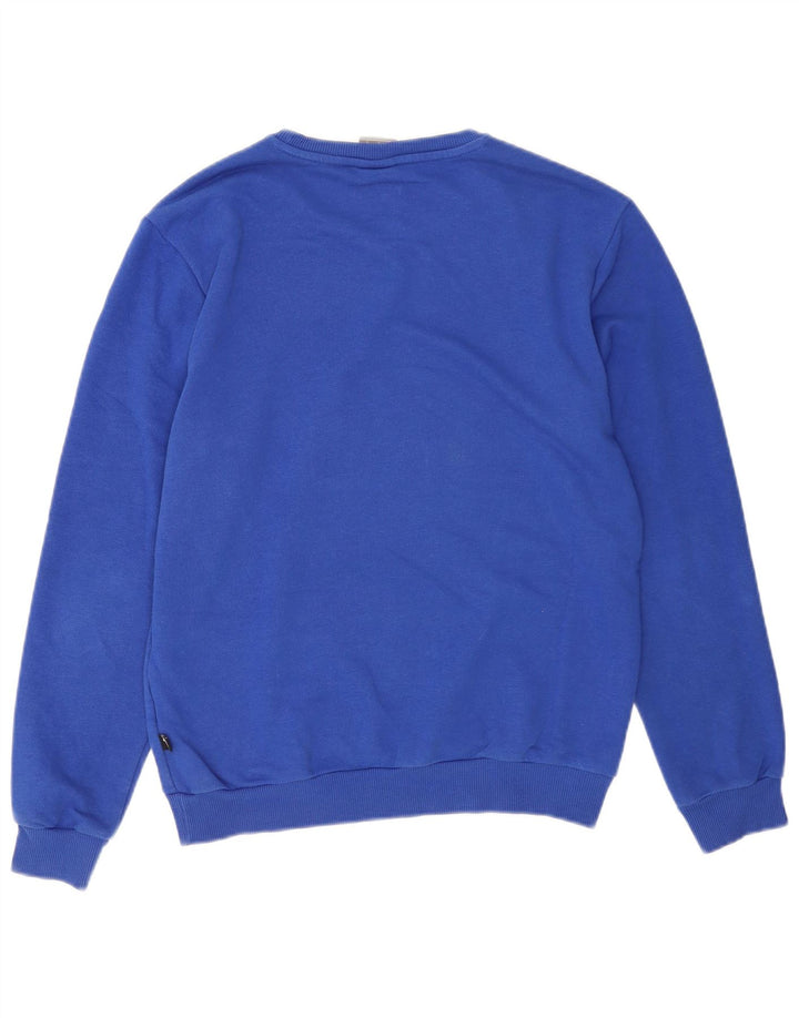 Felpa grafica da uomo Puma Maglione piccolo blu
