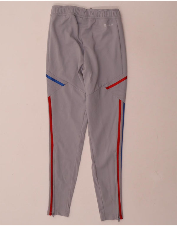 Pantaloni da tuta grafica Adidas da uomo dell'Olympique Lyonnais XS grigi