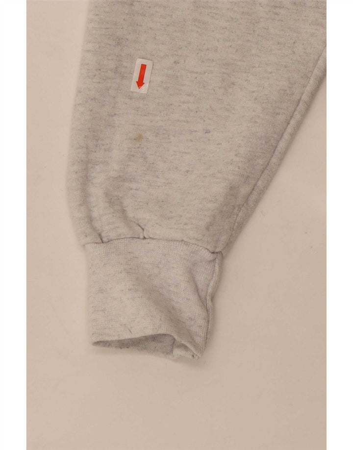 Felpa da uomo Champion in cotone grigio medio