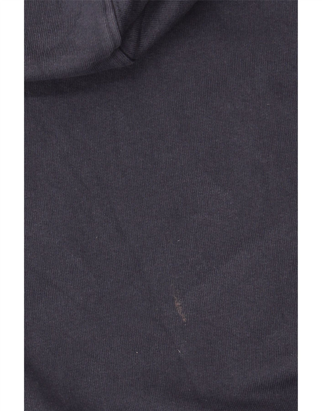 Dickies Felpa con cappuccio grafica da uomo in cotone medio blu navy