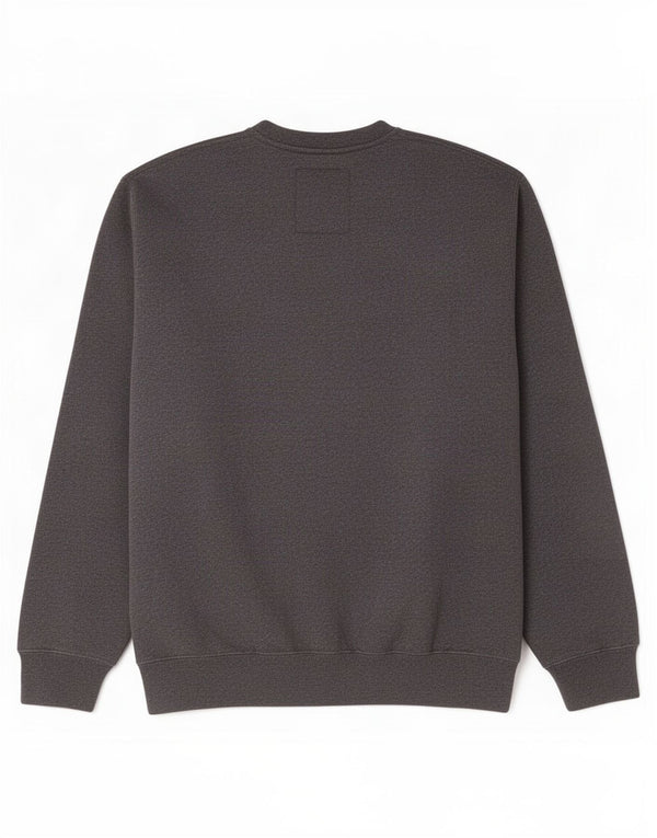 Felpa grafica da uomo Champion, maglione grande, cotone grigio