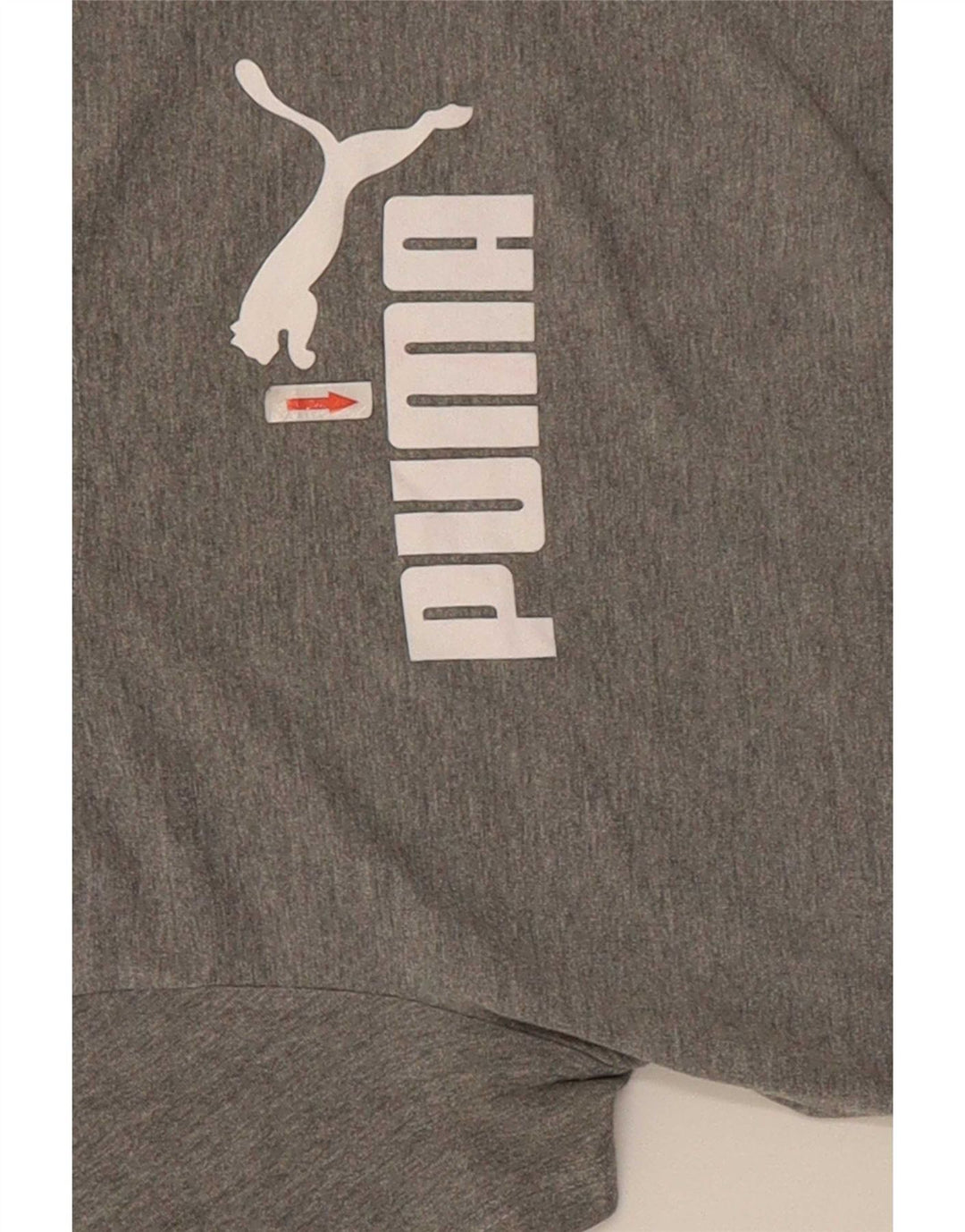 T-shirt grafica da donna Puma UK 12 grigio medio chiazzato