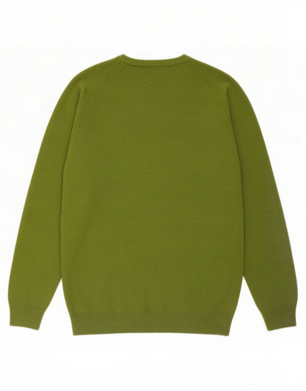 Maglione maglione girocollo da uomo Alan Paine EU 52 Large Green Lambswool