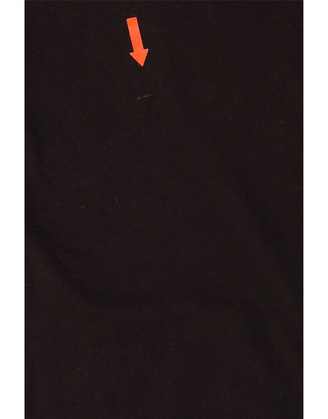 T-shirt grafica da uomo Puma Large nera