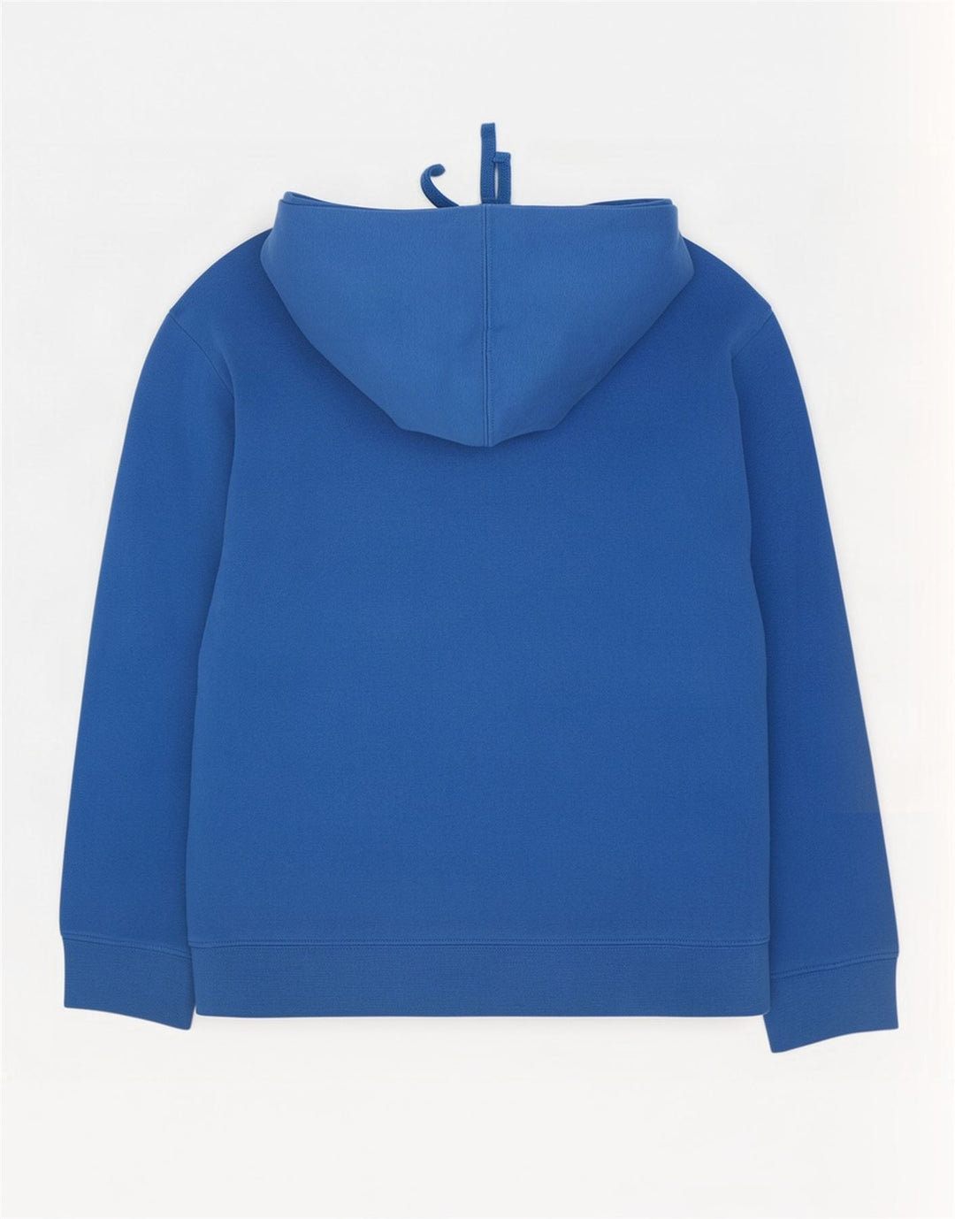 Felpa con cappuccio grafica da uomo The North Face in cotone blu medio