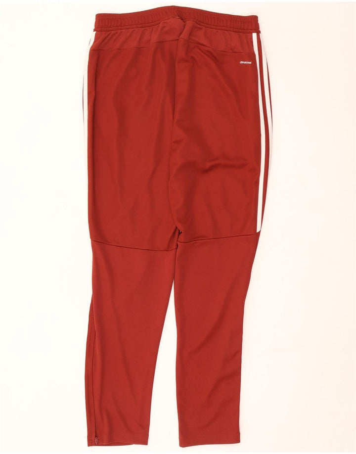 Pantaloni da tuta Adidas Climacool da uomo grandi in poliestere bordeaux