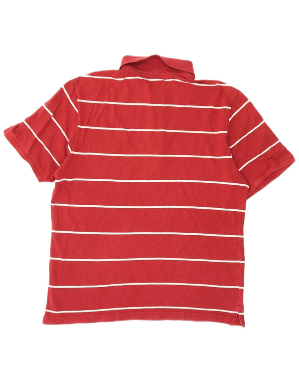 Polo da uomo Champion XL in cotone a righe bordeaux