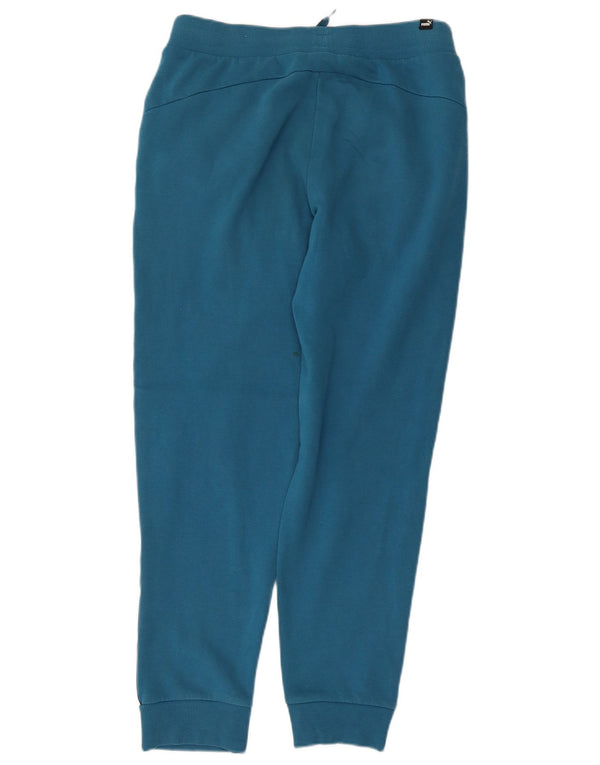Pantaloni da tuta grafica da uomo Puma Joggers Small Blue Colourblock