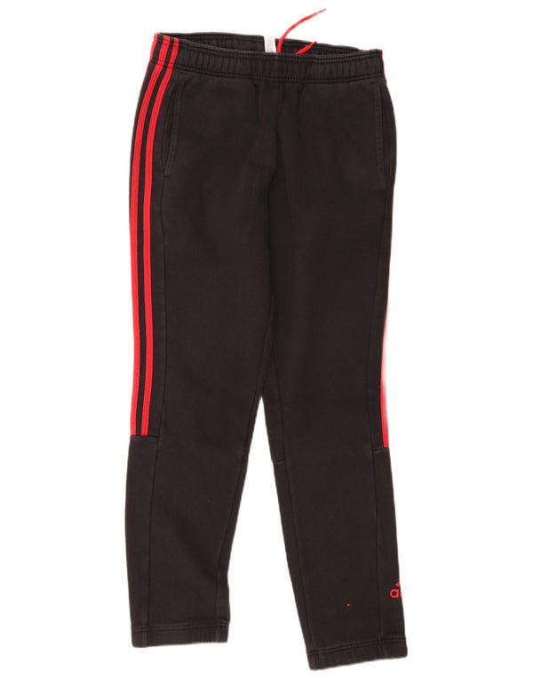 Pantaloni da tuta da uomo ADIDAS Joggers piccoli in cotone grigio