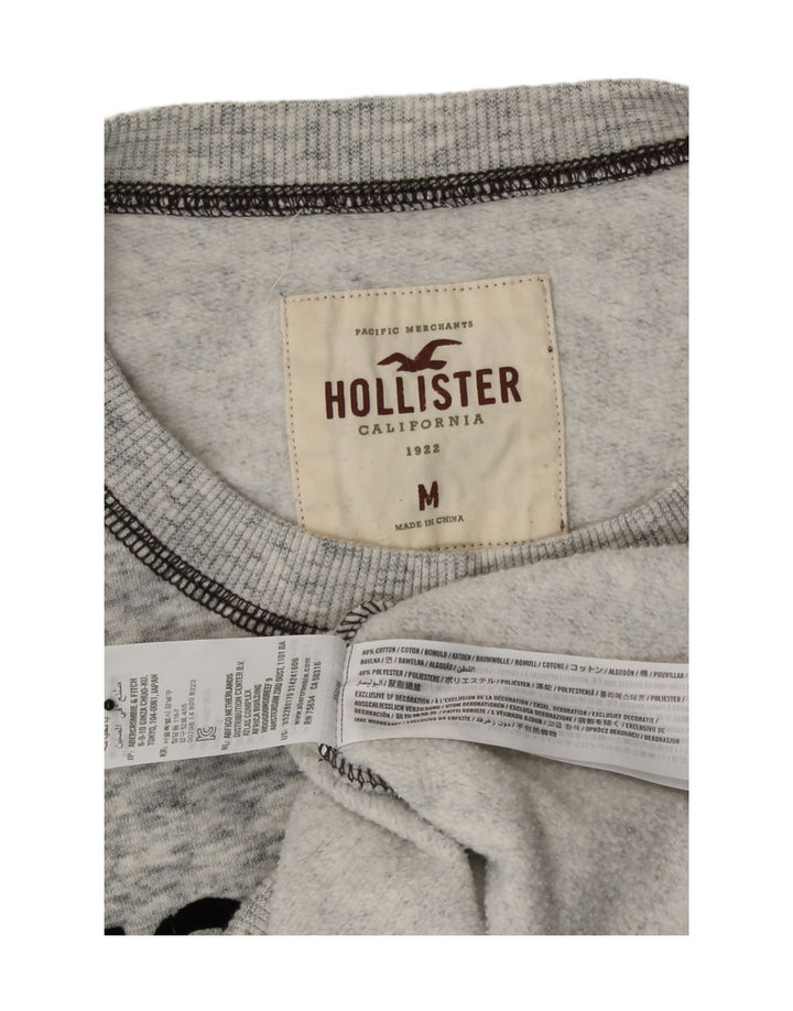 Felpa con grafica Hollister da donna, maglione UK 14, grigio medio chiazzato