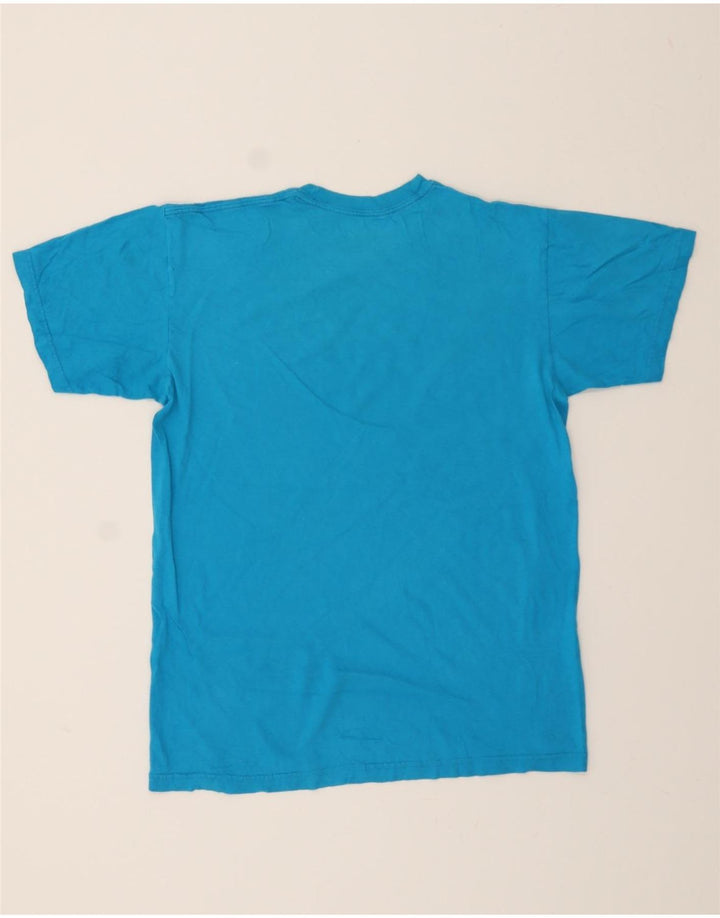 HURLEY Mens Classic Fit Graphic T-Shirt Top Medium Blue Cotton Vintage Hurley and Second-Hand Hurley from Messina Hembry 