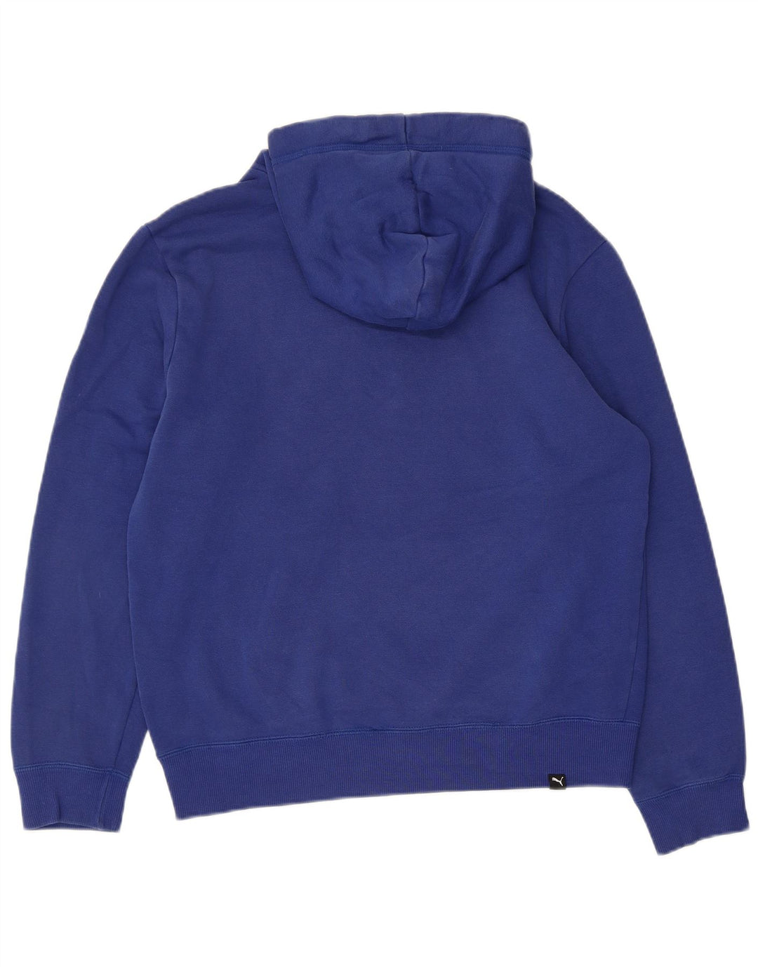 Felpa con cappuccio grafica da uomo Puma piccola in cotone blu