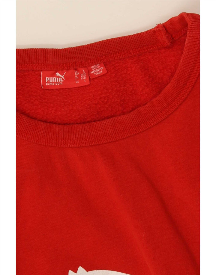 Felpa grafica da uomo Puma Maglione grande rosso