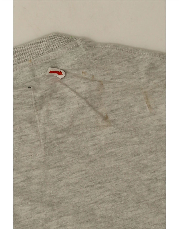 T-shirt grafica da uomo Superdry Top in cotone grigio medio