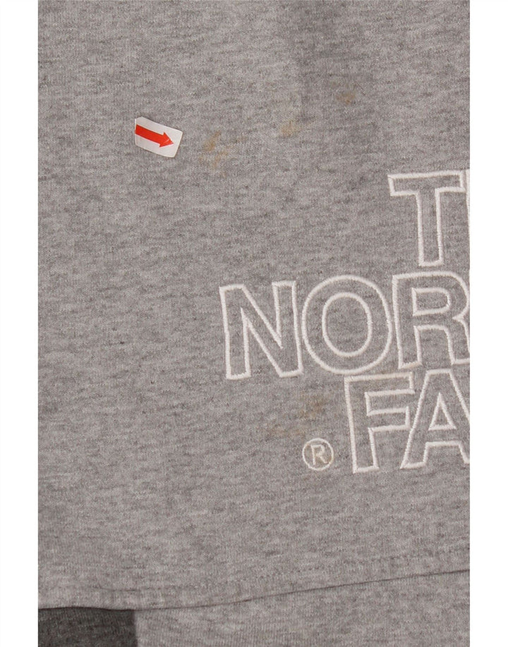 THE NORTH FACE Maglione con cappuccio grafico da uomo piccolo in cotone color block grigio