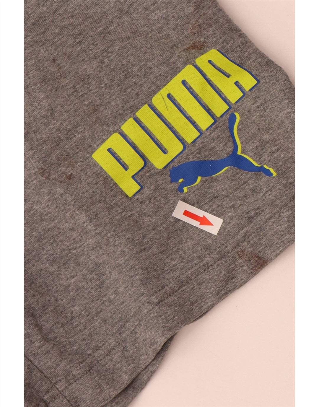 Pantaloncini sportivi grafici da uomo Puma Grigio medio