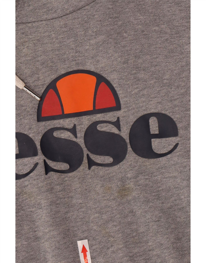 Maglione con cappuccio grafico da uomo Ellesse in cotone grigio medio