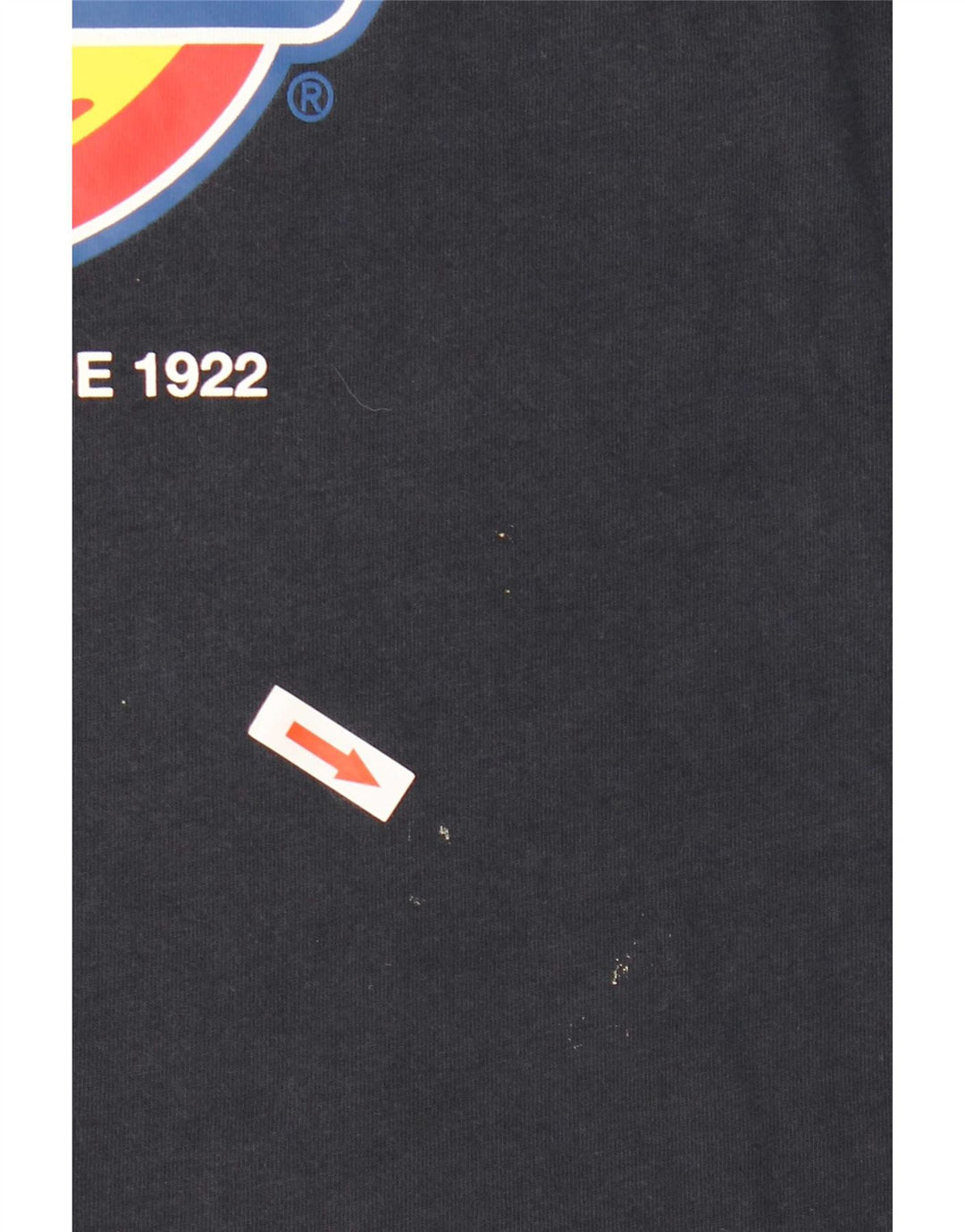 Dickies T-shirt grafica da uomo Top in cotone blu navy medio