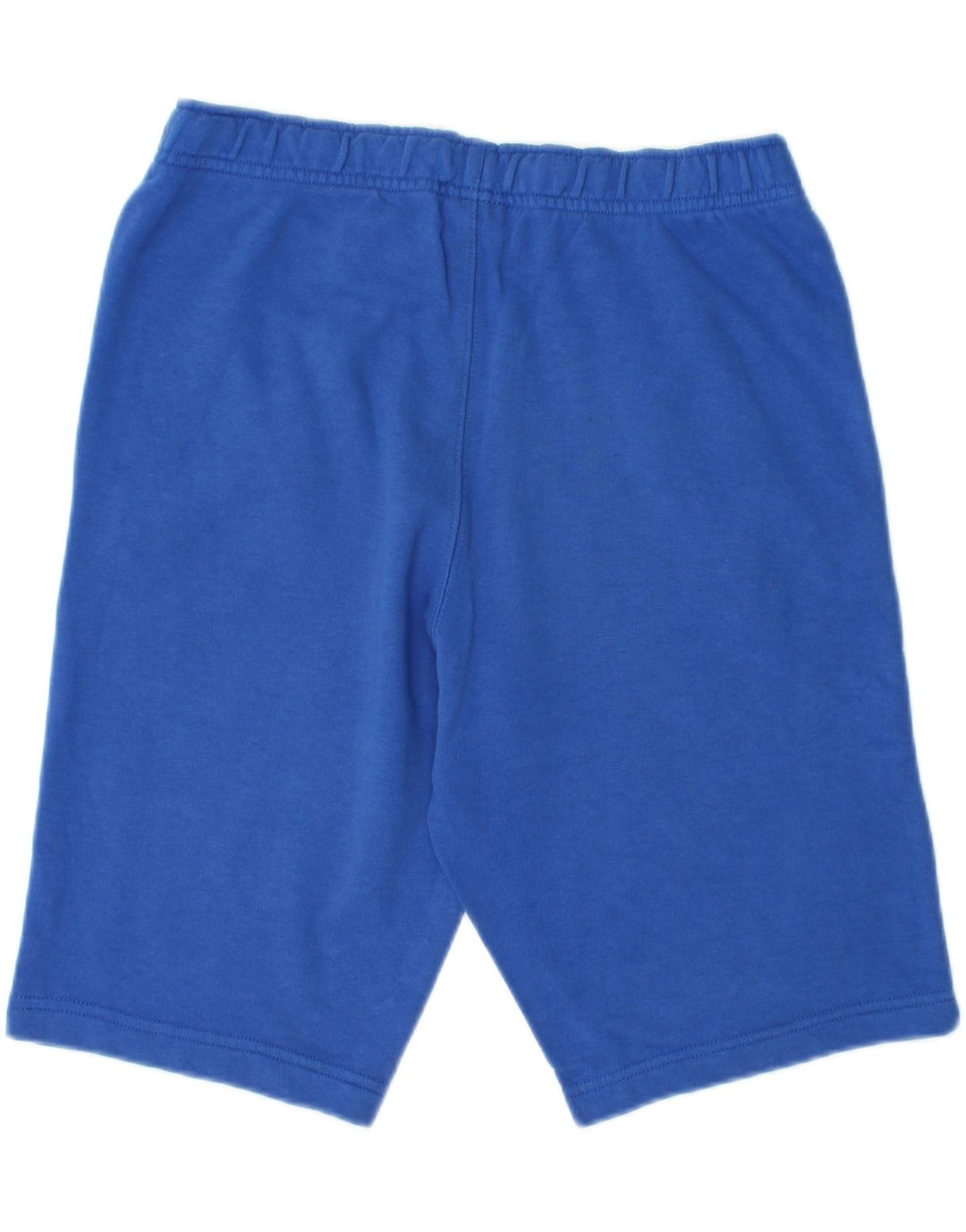 CHAMPION Mens Graphic Sport Shorts Small Blue