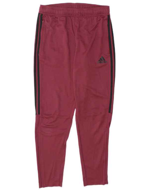 Pantaloni da tuta Adidas da uomo in poliestere bordeaux medio