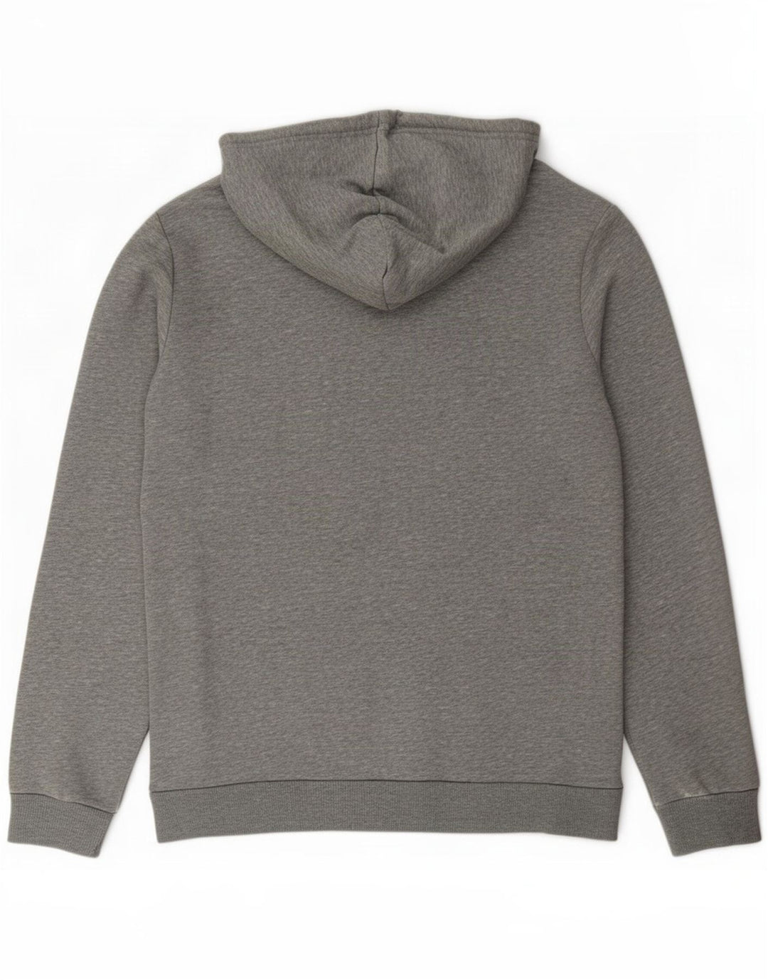 Felpa con cappuccio grafica da uomo Puma piccola grigia