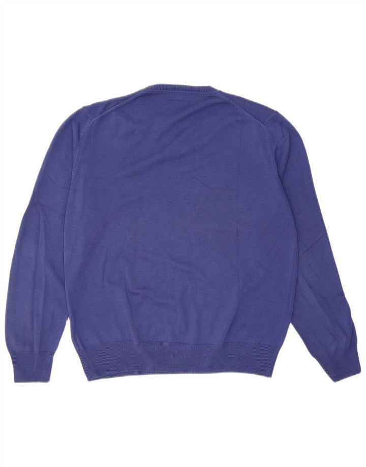 Maglione Zara da uomo con scollo a V grande blu