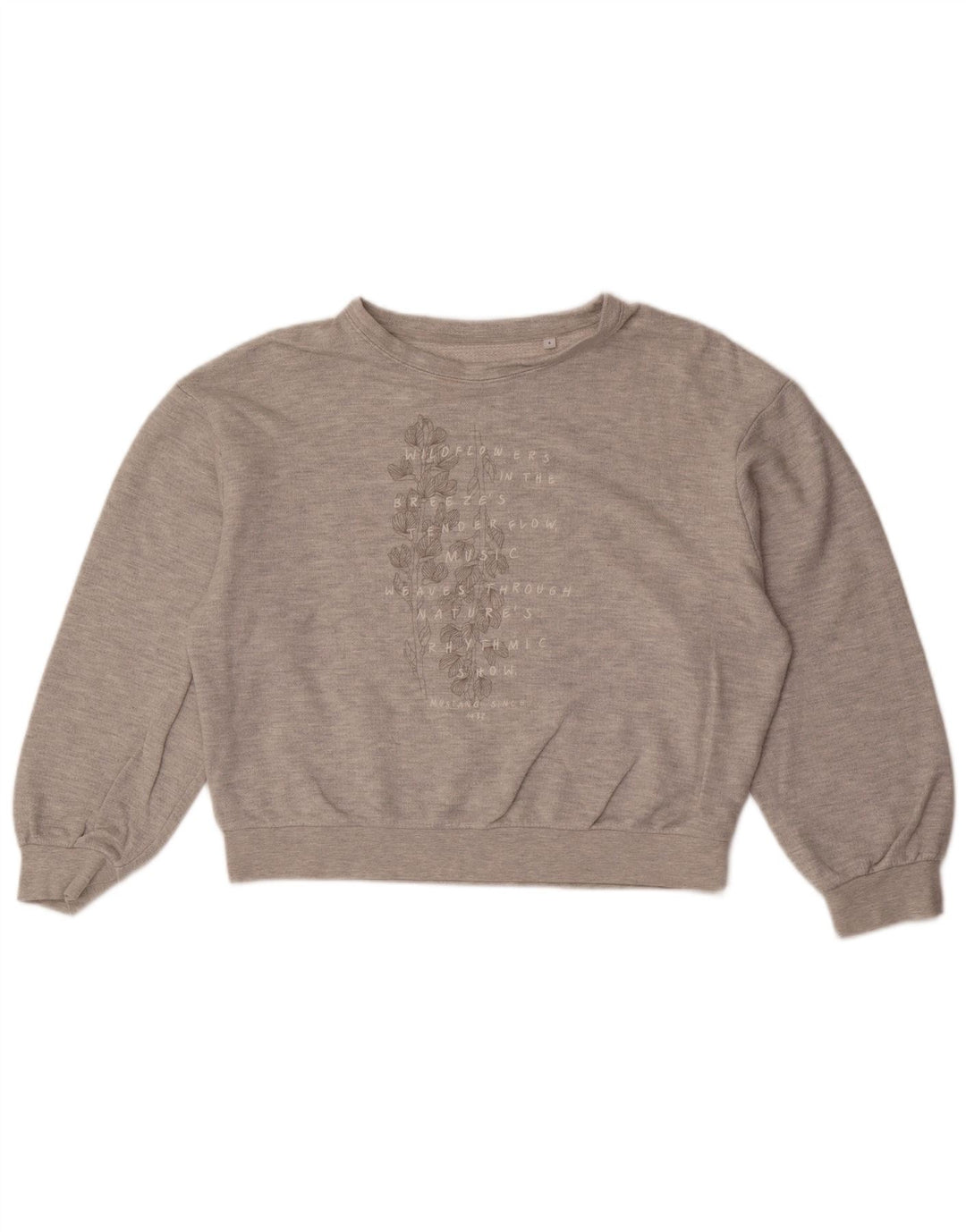 Felpa oversize con grafica da donna Mustang UK 10 Small Grigio