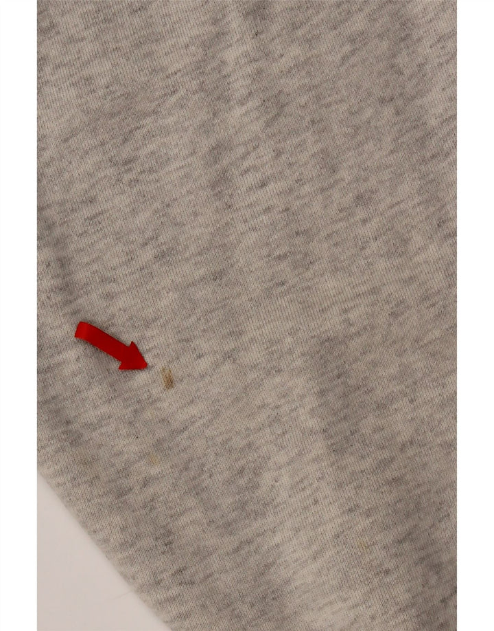 Felpa con cappuccio grafica da uomo Champion XL grigia