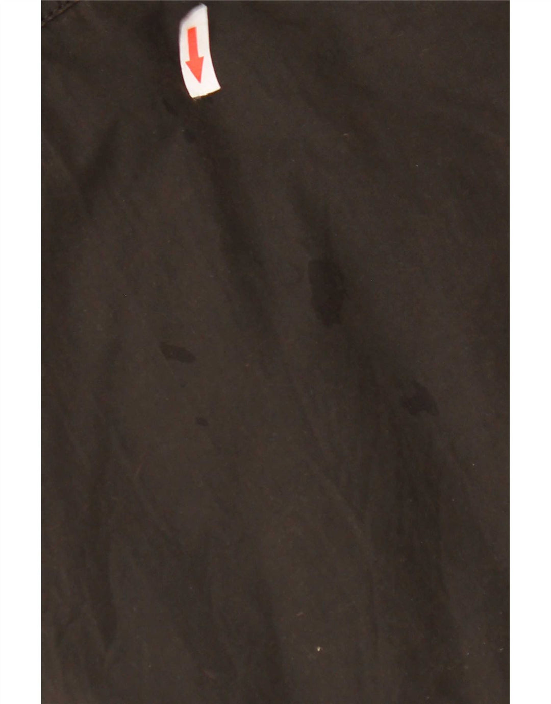 Giacca Imbottita Uomo Pierre Cardin IT 48 Cotone Marrone Medio
