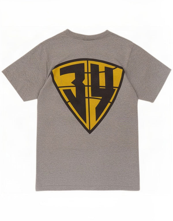 T-shirt grafica da uomo Reebok Top piccola grigia